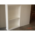 Custom Bookcase(W2)